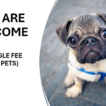 20 Casa Da Aldeia * Алфарин