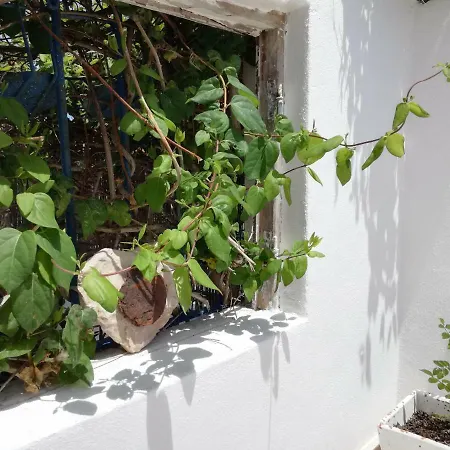 بيت للعطل 20 Casa Da Aldeia